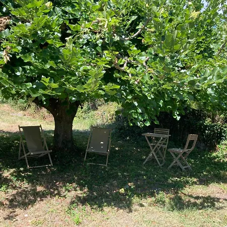 Konukevi Maison Deliere